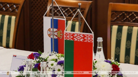 В Сербии выразили солидарность с Лукашенко и белорусским народом