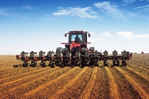 Массовый сев озимых зерновых начался в Беларуси