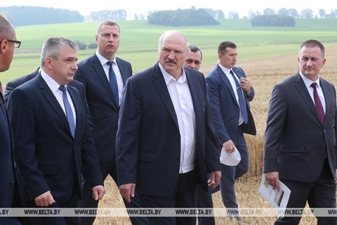 Лукашенко о видах на урожай: 9,5 млн т зерна — минимум, который должны взять в этом году
