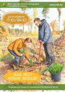 Костюковичский лесхоз проводит акцию &laquo;Дай лесу новае жыццё!&raquo;