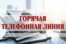 &laquo;Горячая&raquo; телефонная линия по&nbsp;вопросам летней трудовой занятости учащейся молодежи в&nbsp;свободное от&nbsp;учебы время