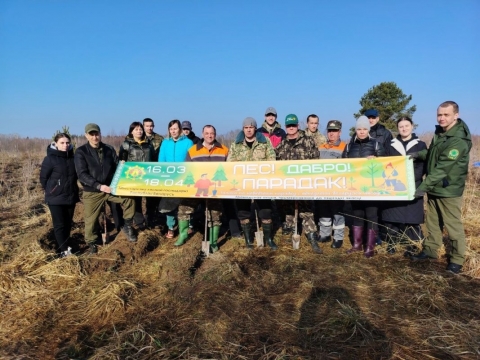 Первые гектары нового леса на&nbsp;Костюковщине