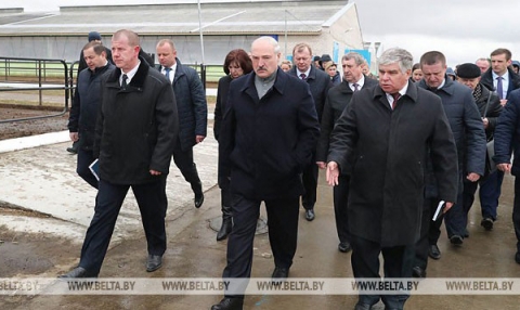 Лукашенко поручил снять с должностей всех виновных в ненадлежащих условиях хозяйствования в агрохолдинге «Купаловское»