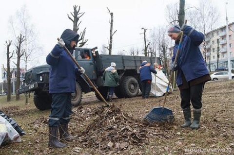 В Могилевской области продолжаются работы по наведению порядка на земле, благоустройству населенных пунктов