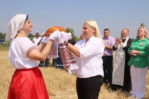 На&nbsp;Костюковщине стартовала уборка зерновых