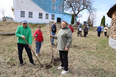 Рябиновую аллею заложили сегодня активисты ветеранской организации