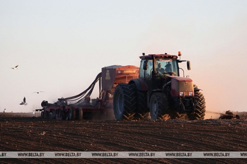«Задача номер один, и важнее ее нет» — Лукашенко об устойчивой работе сельского хозяйства