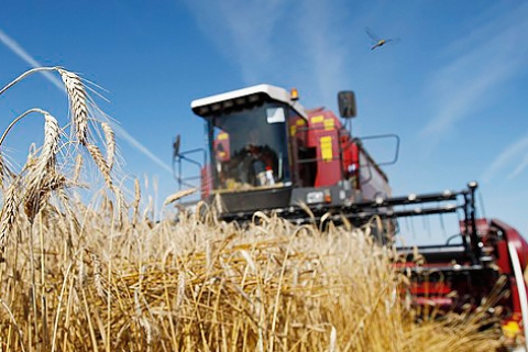Аграрии планируют собрать в этом году около 7,6 млн т зерна