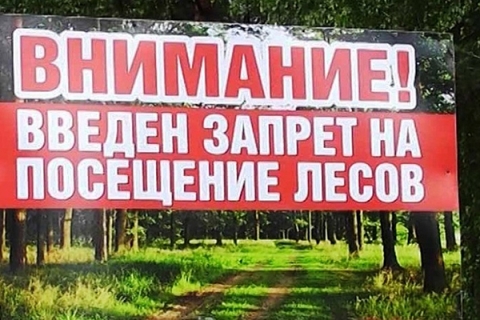 Запреты и ограничения на посещение лесов введены в 91 районе Беларуси