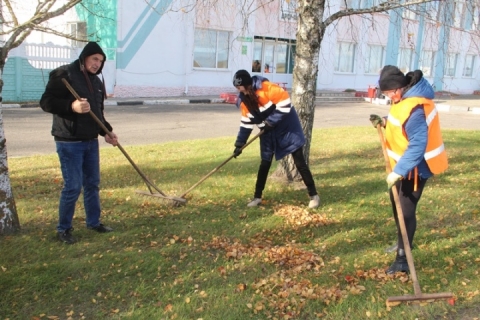 Субботник. Когда труд объединяет