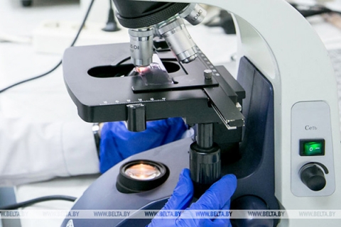 В Беларуси перепрофилируют максимум лабораторий для тестирования на COVID-19 методом ПЦР